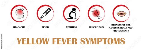 Yellow fever symptoms, Pictograms with names of individual symptoms ...