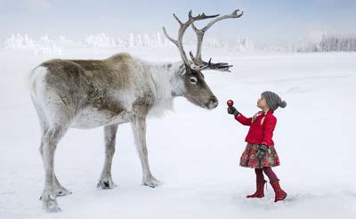 Donner, Donder or Dunder? Santa's Reindeer Names Explained