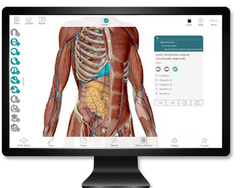 Human anatomy atlas sp crack - palslockq