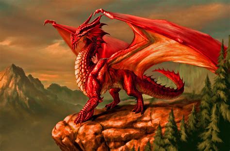 Red Dragon | Dragon images, Dragon pictures, Fantasy dragon