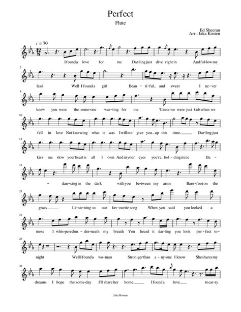 Perfect Flute Sheet music for Flute (Solo) | Musescore.com