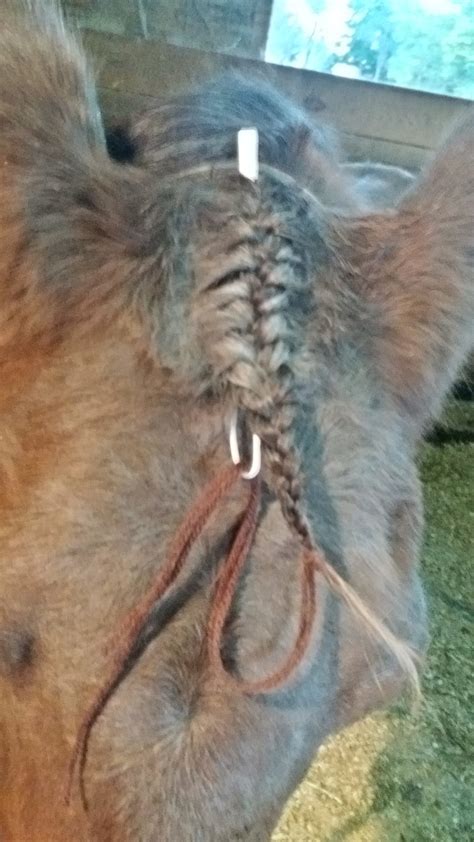 MANE BRAIDING FORELOCK TOOL TUTORIAL - Braid Secrets