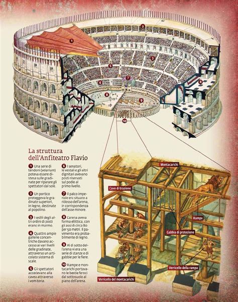 Italia Roma Anfiteatro Flavio O Colosseo By Photographie