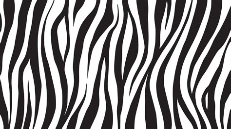 Background of Zebra Stripes 4684761 Vector Art at Vecteezy