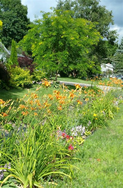 Steep drainage ditch is planted with perennials To stop erosion and to ...