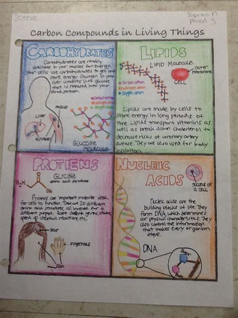 My Carbon Compounds poster shows the four different carbon compounds ...