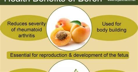 15 Health Benefits Of Boron - Tips Kesehatan - Health Tips