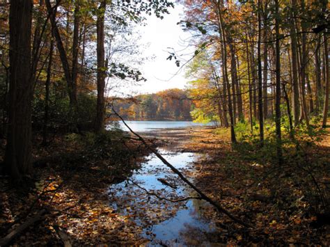 12 Beautiful Maryland State Parks That Will Knock Your Socks Off!