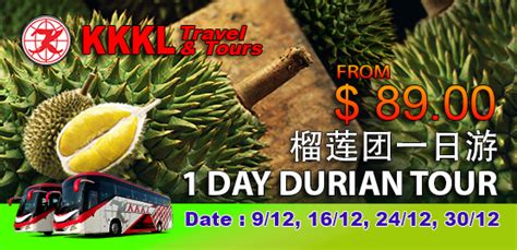 Durian 1 Day Tour | KKKL Travel & Tours