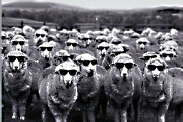 blind-sheep - Restoration Of The Family