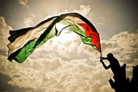 Graafix!: Flag of Palestinian Territories