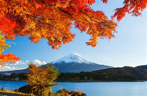 Mt. Fuji, Japan #autumn #forest the sky #leaves #snow #trees #lake # ...