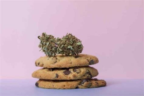 The Best CBD Cookies Recipe YOU Can Easily MAKE ANYTIME - Cheef Botanicals