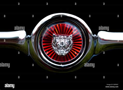 Jaguar emblem Stock Photo: 55194856 - Alamy