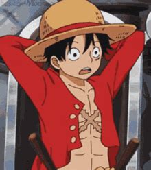 Luffy GIFs | Tenor