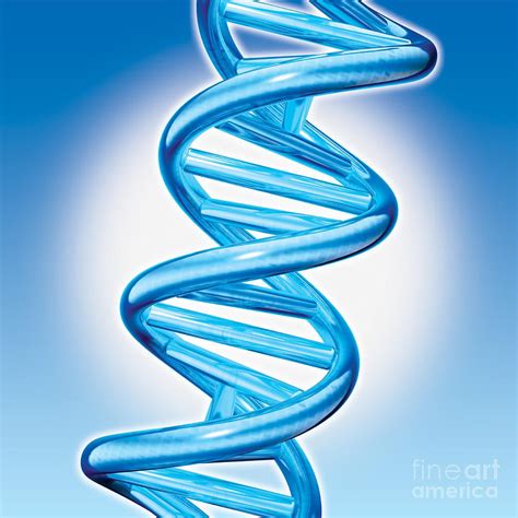 3d Dna Double Helix Wallpaper