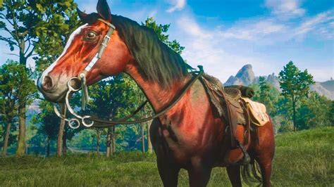 HOW TO GET RED ARABIAN HORSE in Red Dead Redemption 2 Online - YouTube