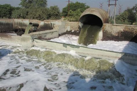 91 Kanpur tanneries 'polluting' Ganga closed - OrissaPOST