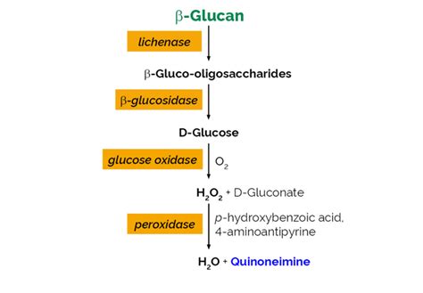 β-Glucan Assay Kit (Mixed Linkage) | NEOGEN