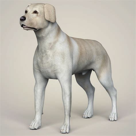 Dog texture 3d max - wesnc