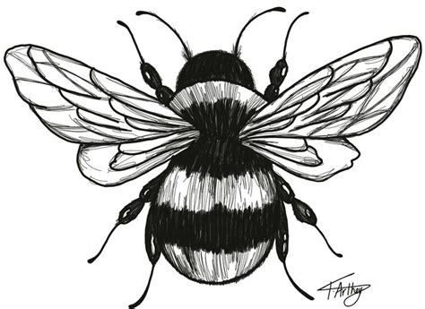 Bumble Bee Black and White Drawing Tattoo