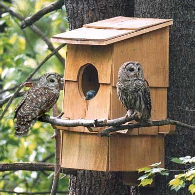 Nest boxes for Tawny Owls page 10: What others are using #birdhouses ...