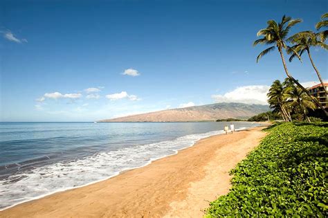 Sugar Beach Resort : Maui Condo Vacation Rentals