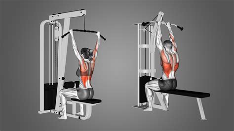 Lat Pulley Exercise Shop | www.flextechnologies.com