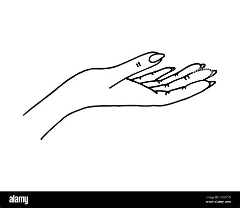 Female hand palm holding something sketch. Drawing line art vector ...