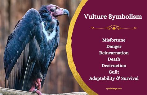 Vulture - Meaning and Symbolism - Symbol Sage | Animal symbolism ...