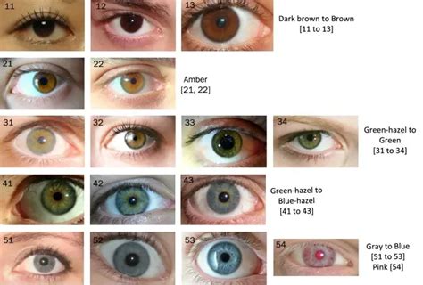 Eye Color Chart Guide