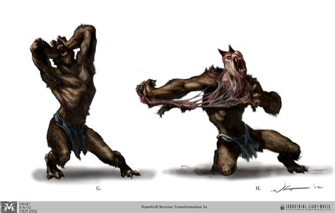 werewolf transformation: wolf to human #1 | Werewolf art, Werewolf ...