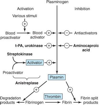 Immunology | Immune system| Immunity: Fibrinolysis and Anemia