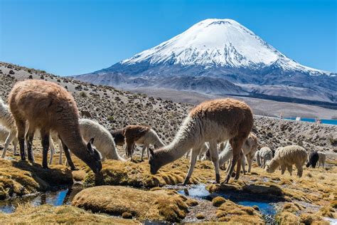 Best national parks in Chile - Lonely Planet