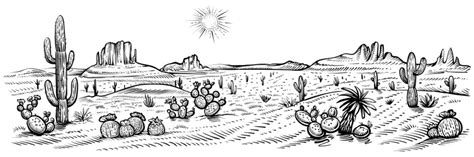 Desert Drawing