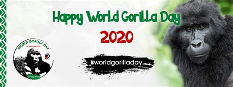 Conservation Through Public Health | Celebrate World Gorilla Day with us