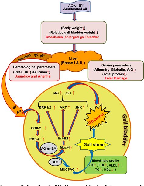 Figure 2 from Edible oil adulterants, argemone oil and butter yellow ...