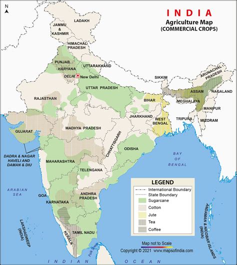 Commercial crops in India, Commercial crops map of india