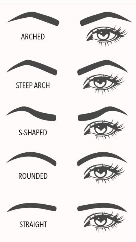 A visual guide to eyebrow shapes (With images) | Eyebrow shaper ...