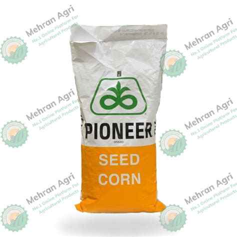 31p41 Hybrid Corn Seed Pioneer - Mehran Agri