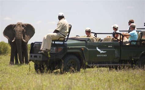 andBeyond Ngala Safari Lodge, Ngala Private Game Reserve, Timbavati