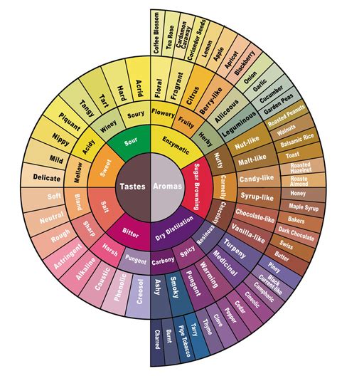 Coffee Tasting Profiles — Guide 2 Coffee