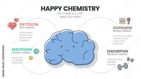 Happy Chemistry infographic has 4 types of Chemical hormones such as ...