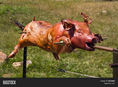 Pig Roasting On Spit Image & Photo (Free Trial) | Bigstock