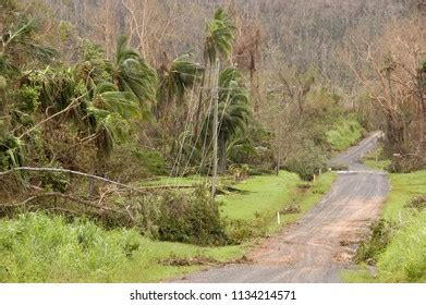 6,338 Cyclone damage Stock Photos, Images & Photography | Shutterstock