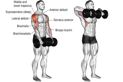 How to Do Dumbbell Upright Row Exercise Without Hurting Your Shoulders ...