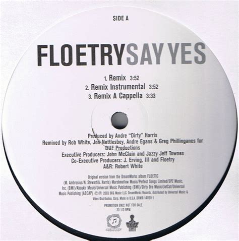 Floetry - Say Yes (Remix) (2003, Vinyl) | Discogs