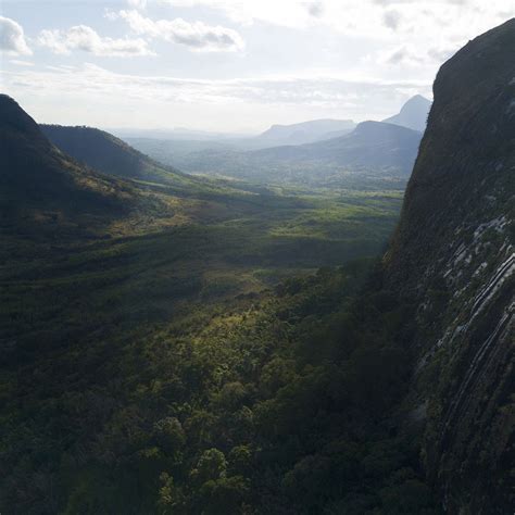 How Google Earth led a team of scientists to discover a rainforest on ...