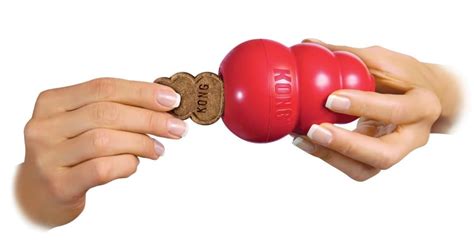 Best Kong Dog Toys to Buy | Petlife