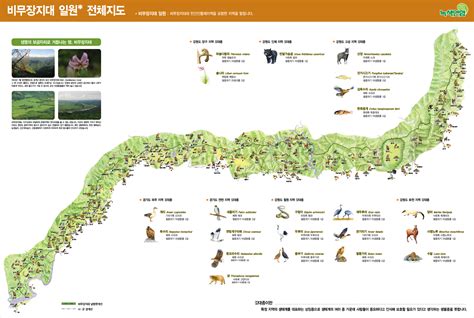 Map of the Korean Demilitarized Zone and the endangered animals that ...